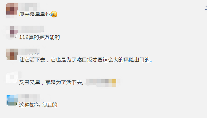 消防员“为什么会那么臭？”一场抓蛇行动让消防员快吐了，这味道不可描述