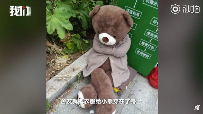 医学院被遗弃的小熊走红，有人为它穿衣服、戴口罩