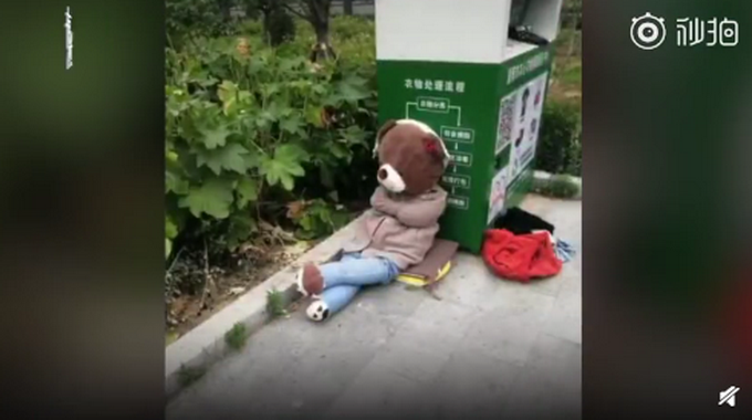 医学院被遗弃的小熊走红，有人为它穿衣服、戴口罩