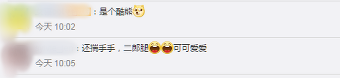 医学院被遗弃的小熊走红，有人为它穿衣服、戴口罩