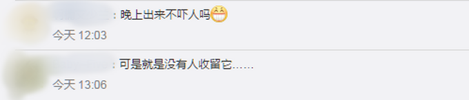 医学院被遗弃的小熊走红，有人为它穿衣服、戴口罩