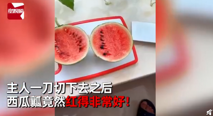 推荐男子飘窗种西瓜3个月后长出巴掌大，切开一看瞬间被惊艳到