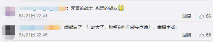 推荐退役搜救犬扒训导员衣角不愿离开，网友：无言的战士，永远的战友