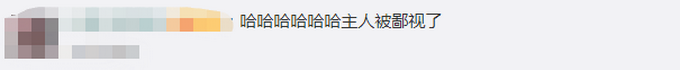 推荐主人反复打乒乓球进圈失败，狗狗随意助力一脚球进了！主人怒甩拍子