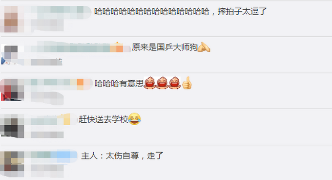 推荐主人反复打乒乓球进圈失败，狗狗随意助力一脚球进了！主人怒甩拍子