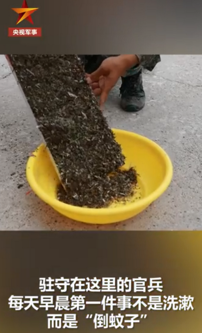 推荐边防战士起床第一件事是倒蚊虫！如今他们有个心愿，急需好心人