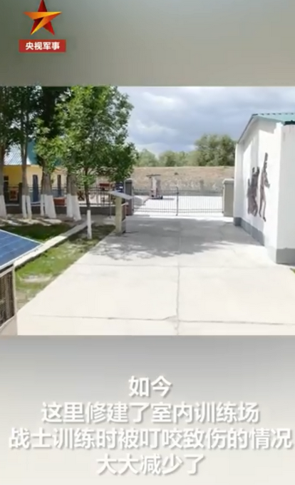 推荐边防战士起床第一件事是倒蚊虫！如今他们有个心愿，急需好心人