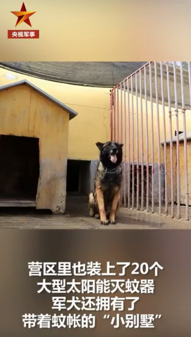 推荐边防战士起床第一件事是倒蚊虫！如今他们有个心愿，急需好心人