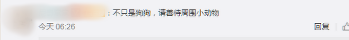 泪目！退役搜救犬不愿离队，扒着训导员衣角不走