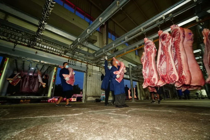 推荐夜探北京岳各庄鲜肉批发大厅，肉产品过“4道关”才来到您家厨房