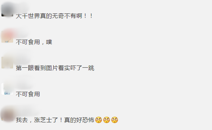 奇妙生物太吓人了！印度一男子爬山时发现疑似已发黑脚趾，结局却“反转”了?