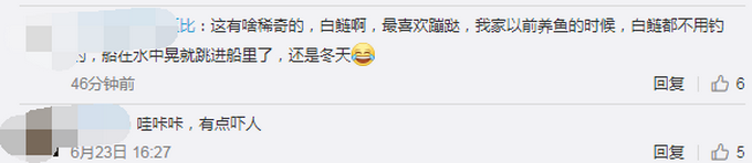 推荐上百只鱼跳起集体舞，南京玄武湖公园现群鱼跳跃奇观！评论亮了