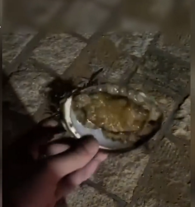 推荐青岛游客海里捡鲍鱼被要500块，村民称这片海域被他们承包了