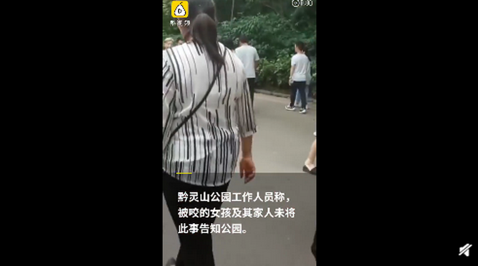 危险！2岁娃喂食野生猕猴被咬，工作人员：家人未告知公园
