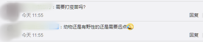 危险！2岁娃喂食野生猕猴被咬，工作人员：家人未告知公园