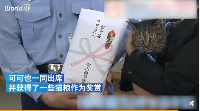 日本家猫协助救下落水男子获警方嘉奖，网友：你是不是黑猫警长？