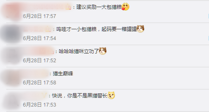 日本家猫协助救下落水男子获警方嘉奖，网友：你是不是黑猫警长？