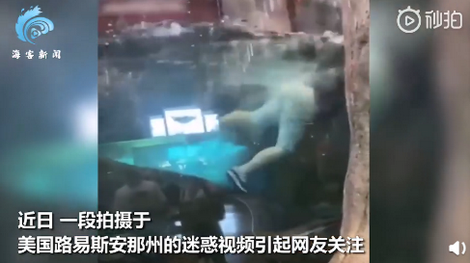 迷惑行为！美男子一头跳进商店鱼缸“练习游泳”，店主被气疯