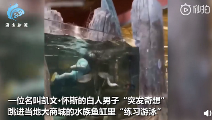 迷惑行为！美男子一头跳进商店鱼缸“练习游泳”，店主被气疯