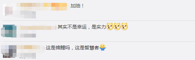 推荐锦鲤体质？95后博士连续两年获全球数学金奖，2年伯克利博士毕业