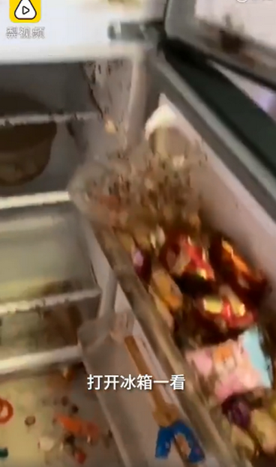推荐臭气熏天！租客退房屋内成垃圾场，房东拉开冰箱看到霉斑傻眼了