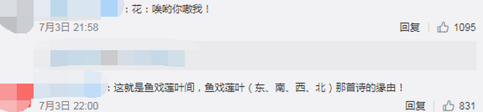 推荐美哭！成都一荷塘现鱼吃荷花景观，网友：吃花长大的鱼肯定香