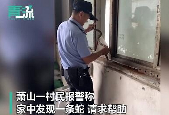 推荐蛇钻进窗台缝民警跳“蛇舞”擒拿，网友：大侠，请受我一拜