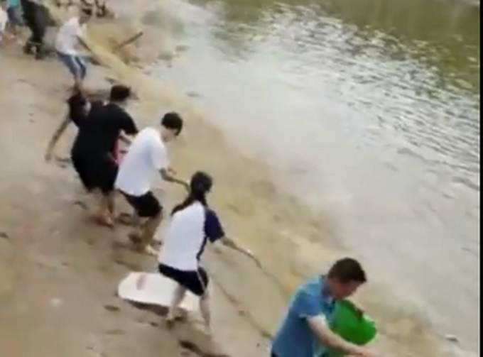 推荐广东学校组织高三师生考前捕2000斤鱼，当晚做全鱼宴，寓意鱼跃龙门