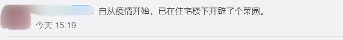 6月全国菜价上涨，别慌！未来价格涨幅有限，网友开始开辟菜园自己种