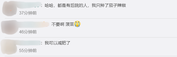 6月全国菜价上涨，别慌！未来价格涨幅有限，网友开始开辟菜园自己种