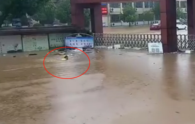 正能量交警小哥游泳到学校门口查看受汛情况，网友：最帅气的泳姿