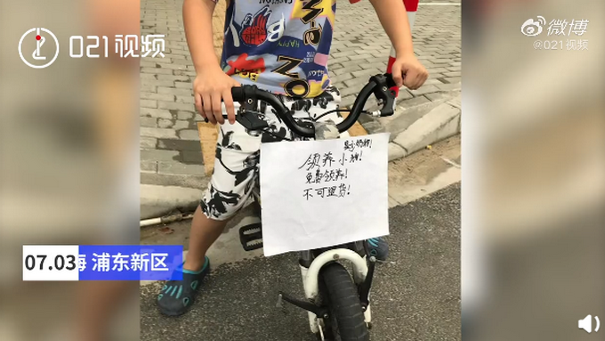 宠物|太有爱！大叔太阳底下陪狗狗输液，一直牵着它的手，网友：铁汉柔情