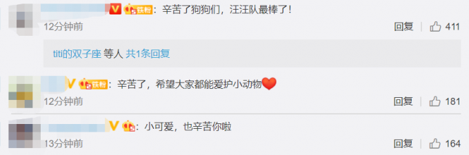 感人|搜救犬连夜参与救援满身泥泞，小英雄满脸疲惫，辛苦了！