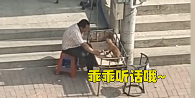 宠物|太有爱！大叔太阳底下陪狗狗输液，一直牵着它的手，网友：铁汉柔情