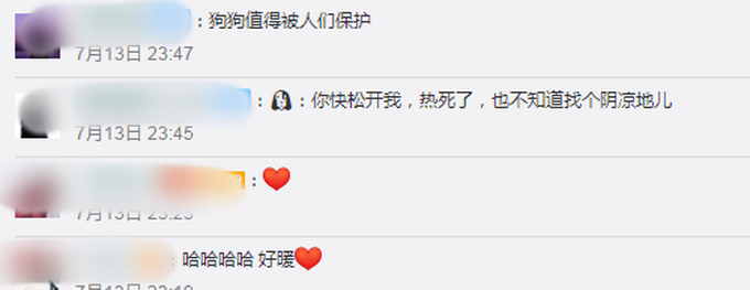 宠物|太有爱！大叔太阳底下陪狗狗输液，一直牵着它的手，网友：铁汉柔情