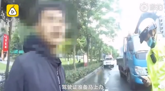 推荐|这是什么操作？司机开车时边撸狗边看书，后方司机：我都惊呆了！