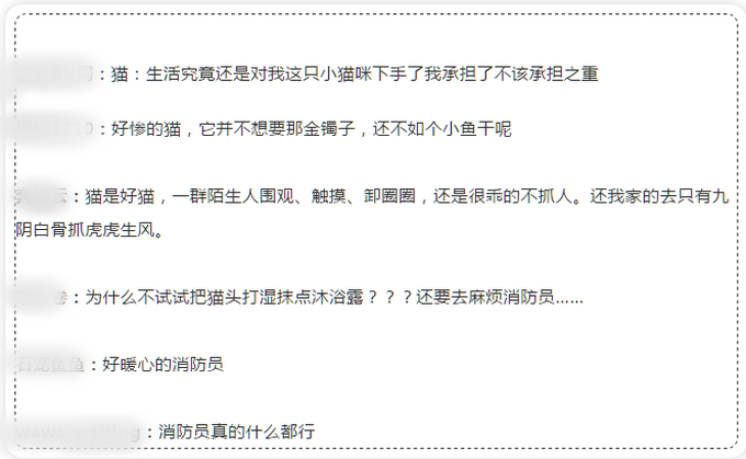 |神操作！3万元金镯卡住猫头，灵魂拷问：保猫还是保镯子？