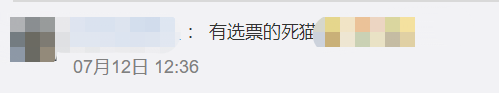 奇葩|美国去世12年的猫收到选民登记表？猫主人傻眼，州政府否认