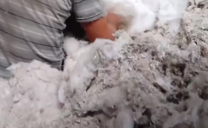 315晚会|“3.15晚会”曝光高阳毛巾企业，旧袜子旧内衣竟是毛巾生产原料