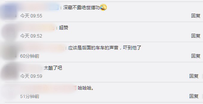 |胖猫走路突然“起飞”360度空翻，网友看呆直呼“老忍者”