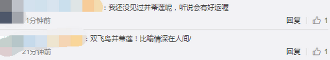 热点|半个月内，南京玄武湖连续出现2株并蒂莲！网友评论亮了