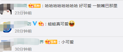 雨蛙|秦岭发现罕见雨蛙，网友：现实版旅行青蛙？