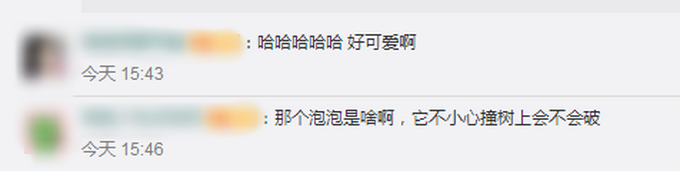 推荐|现实版旅行青蛙？秦岭发现罕见雨蛙，网友：可爱，好怕“泡泡”破掉