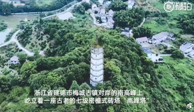 热点|相依百余年！宋代南峰塔与塔顶古树或将分离，网友：可惜了