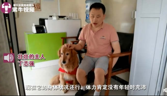 热点|工作7年的江苏首只导盲犬将退役，为啥要送回基地？网友解释令人心疼