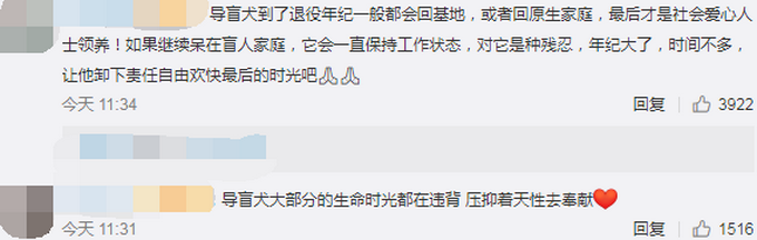 热点|工作7年的江苏首只导盲犬将退役，为啥要送回基地？网友解释令人心疼