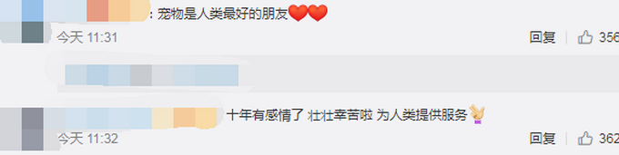 热点|工作7年的江苏首只导盲犬将退役，为啥要送回基地？网友解释令人心疼