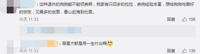 热点|工作7年的江苏首只导盲犬将退役，为啥要送回基地？网友解释令人心疼