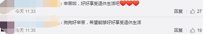 热点|工作7年的江苏首只导盲犬将退役，为啥要送回基地？网友解释令人心疼