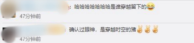 三星堆|三星堆出土的陶猪撞脸“愤怒的小鸟”中的猪，网友：穿越过去的？